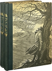 Jane Eyre & Wuthering Heights - 2 Volume Set